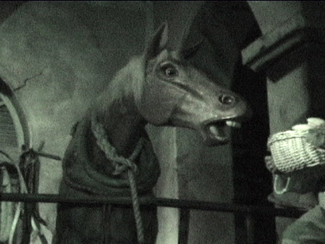 Horse without Apple
